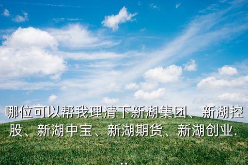 哪位可以幫我理清下新湖集團(tuán)、新湖控股、新湖中寶、新湖期貨、新湖創(chuàng)業(yè)...