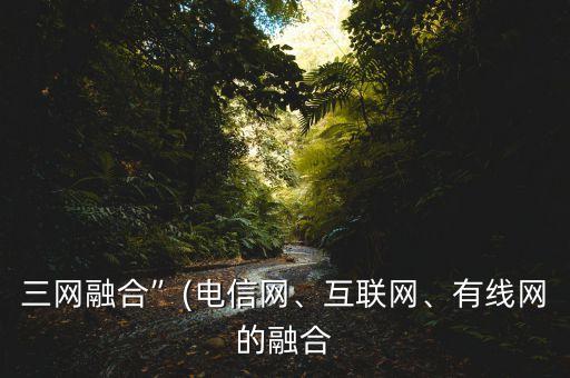 三網(wǎng)融合”(電信網(wǎng)、互聯(lián)網(wǎng)、有線網(wǎng)的融合