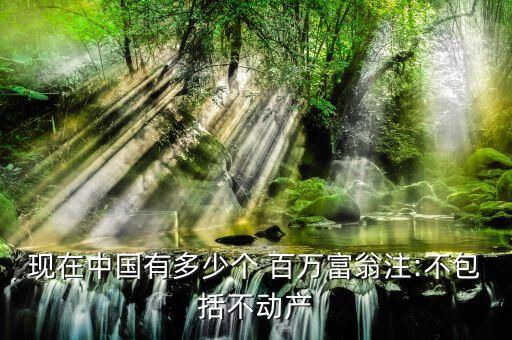 現(xiàn)在中國(guó)有多少個(gè) 百萬(wàn)富翁注:不包括不動(dòng)產(chǎn)