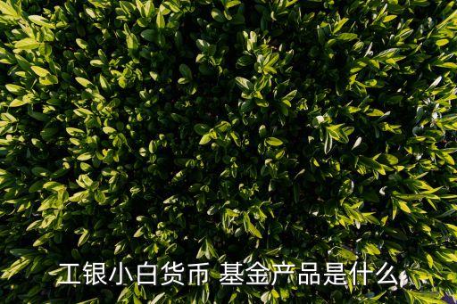 工銀小白貨幣 基金產品是什么