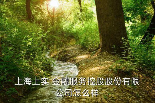  上海上實 金融服務控股股份有限 公司怎么樣
