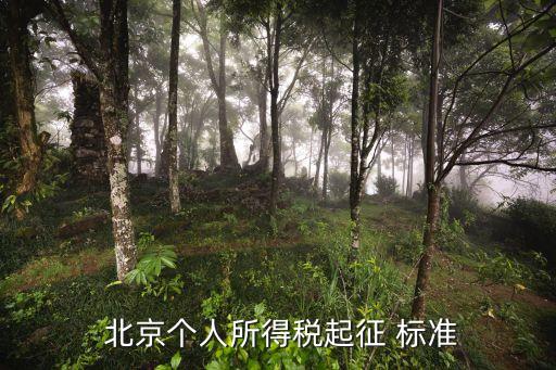  北京個人所得稅起征 標(biāo)準(zhǔn)