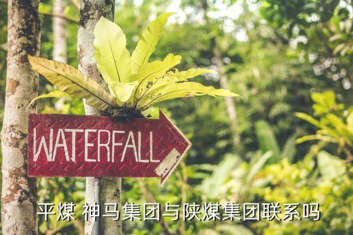 平煤神馬融資租賃有限公司,中國平煤神馬控股有限公司