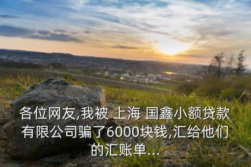 各位網友,我被 上海 國鑫小額貸款有限公司騙了6000塊錢,匯給他們的匯賬單...