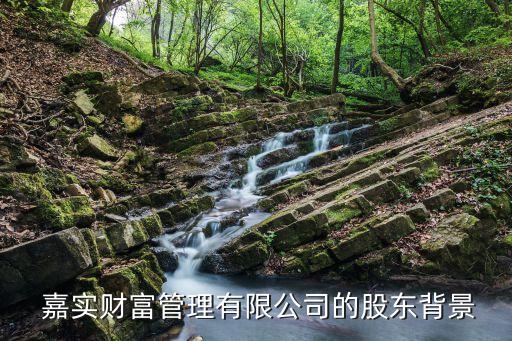  嘉實(shí)財(cái)富管理有限公司的股東背景