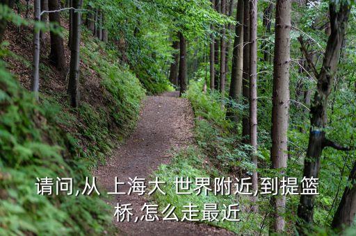 請(qǐng)問,從 上海大 世界附近,到提籃橋,怎么走最近