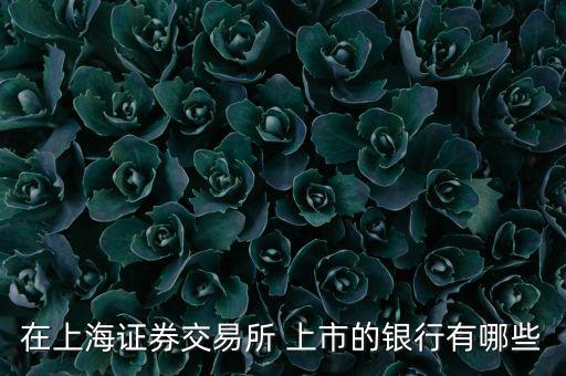 在上海證券交易所 上市的銀行有哪些