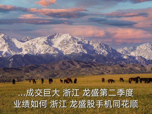 ...成交巨大 浙江 龍盛第二季度業(yè)績(jī)?nèi)绾?浙江 龍盛股手機(jī)同花順