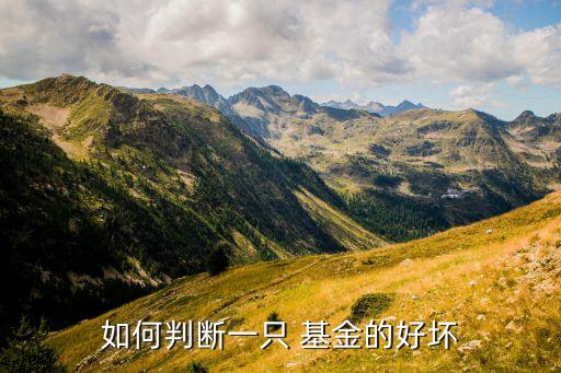如何判斷一只 基金的好壞