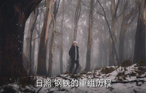 日照鋼鐵控股集團有限公司董事長
