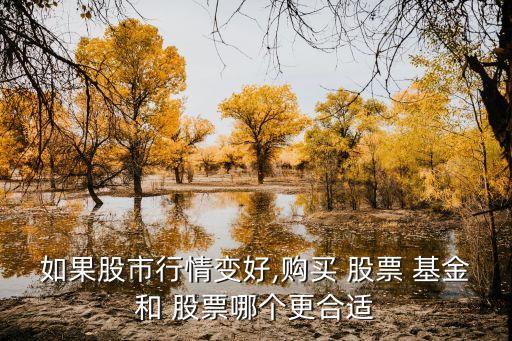 如果股市行情變好,購買 股票 基金和 股票哪個(gè)更合適