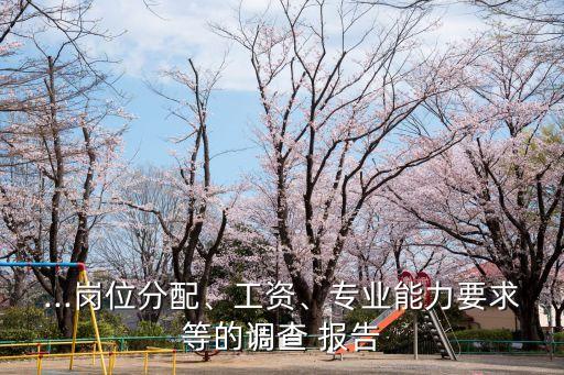 ...崗位分配、工資、專業(yè)能力要求等的調(diào)查 報(bào)告