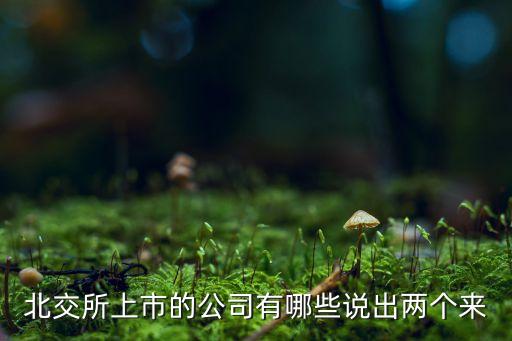 北交所上市的公司有哪些說出兩個(gè)來