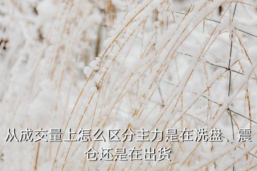 從成交量上怎么區(qū)分主力是在洗盤、震倉還是在出貨