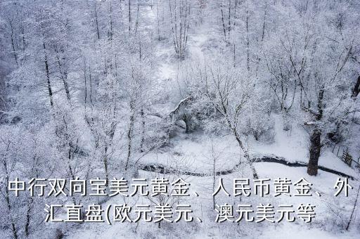 中行雙向?qū)毭涝S金、人民幣黃金、外匯直盤(歐元美元、澳元美元等