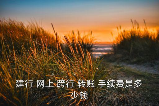 建行 網(wǎng)上 跨行 轉賬 手續(xù)費是多少錢