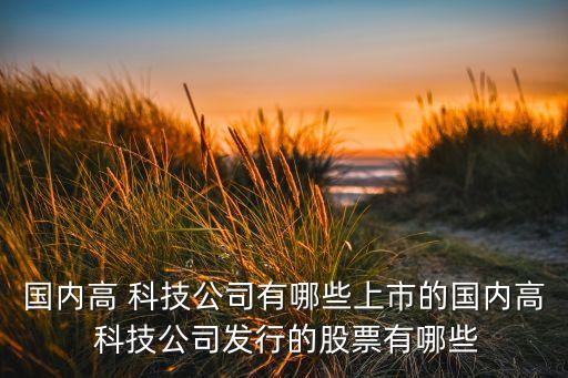 國(guó)內(nèi)高 科技公司有哪些上市的國(guó)內(nèi)高 科技公司發(fā)行的股票有哪些
