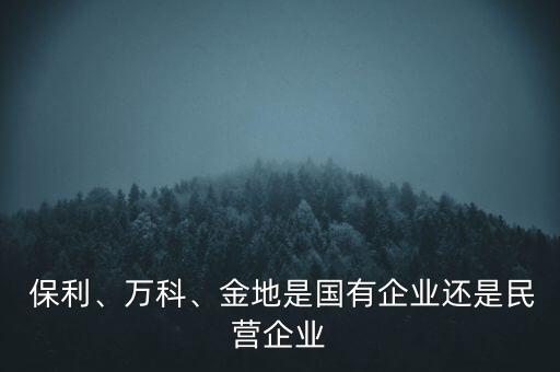  保利、萬(wàn)科、金地是國(guó)有企業(yè)還是民營(yíng)企業(yè)