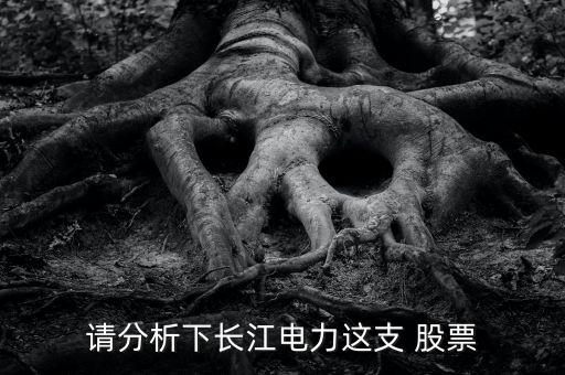 請分析下長江電力這支 股票