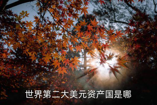 世界第二大美元資產國是哪