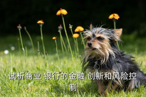 試析商業(yè) 銀行的金融 創(chuàng)新和風(fēng)險(xiǎn)控制