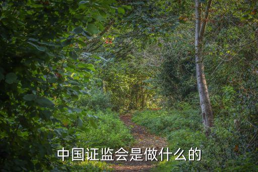 中國證監(jiān)會是做什么的