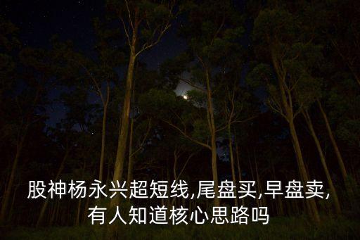 股神楊永興超短線,尾盤買,早盤賣,有人知道核心思路嗎