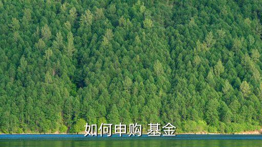 如何申購(gòu) 基金
