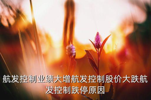 江蘇南方軸承股份有限公司網址,江蘇萬達特種軸承股份有限公司
