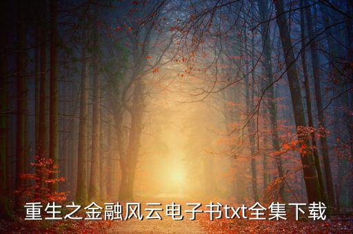 重生之金融風云電子書txt全集下載