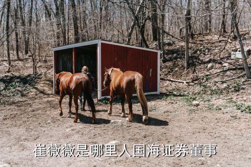 國投藥業(yè)投資有限公司李欣瑞,深圳國投藥業(yè)有限公司孫一良