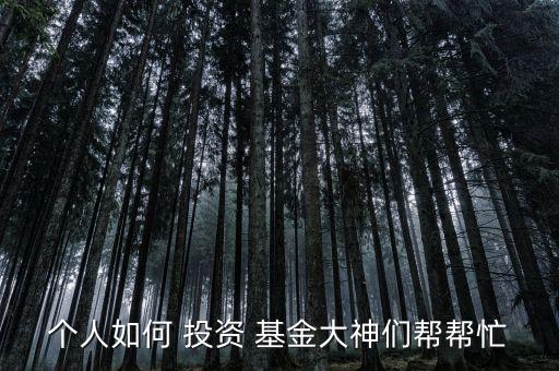 個(gè)人如何 投資 基金大神們幫幫忙