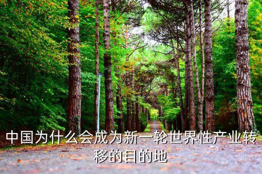 中國(guó)為什么會(huì)成為新一輪世界性產(chǎn)業(yè)轉(zhuǎn)移的目的地