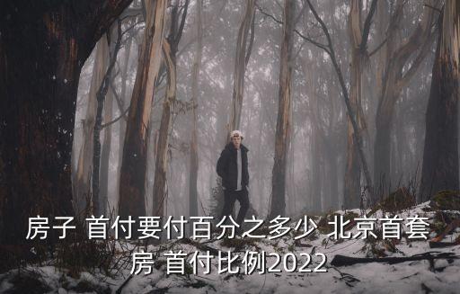 房子 首付要付百分之多少 北京首套房 首付比例2022
