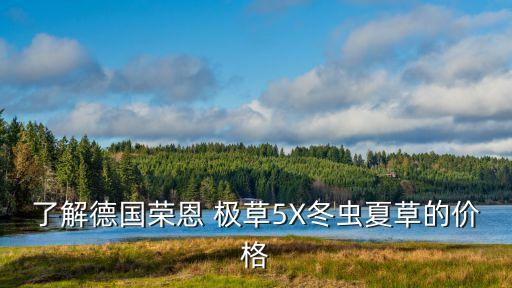了解德國(guó)榮恩 極草5X冬蟲(chóng)夏草的價(jià)格