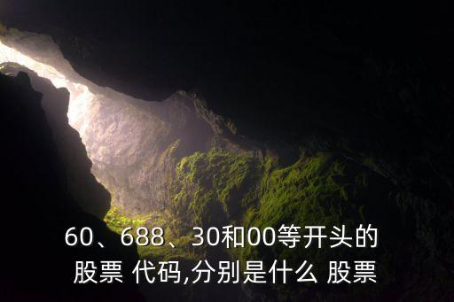 60、688、30和00等開頭的 股票 代碼,分別是什么 股票