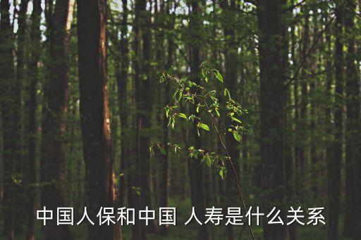 中國人保和中國 人壽是什么關系
