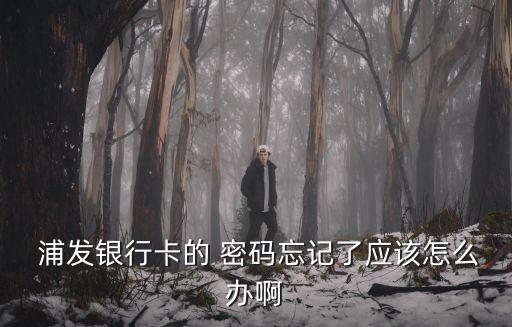 浦發(fā)銀行支票密碼,上海浦發(fā)銀行支票樣子