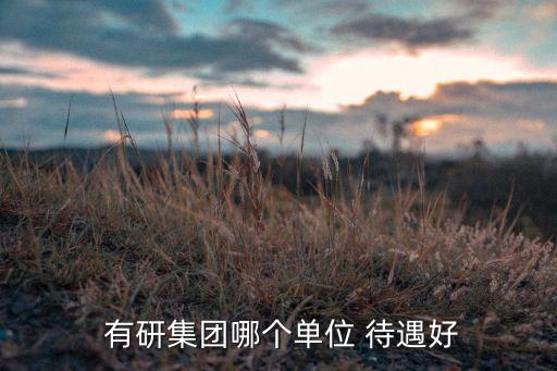  有研集團哪個單位 待遇好
