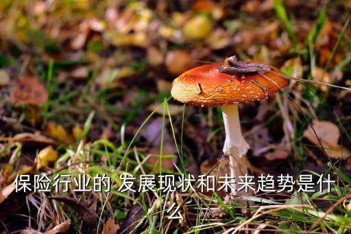 保險(xiǎn)行業(yè)的 發(fā)展現(xiàn)狀和未來趨勢是什么