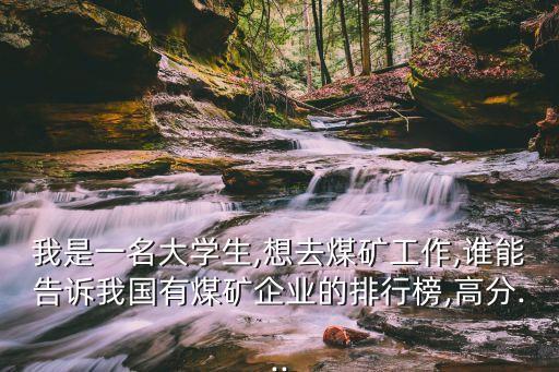 我是一名大學(xué)生,想去煤礦工作,誰能告訴我國有煤礦企業(yè)的排行榜,高分...