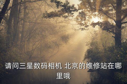 請(qǐng)問(wèn)三星數(shù)碼相機(jī) 北京的維修站在哪里哦