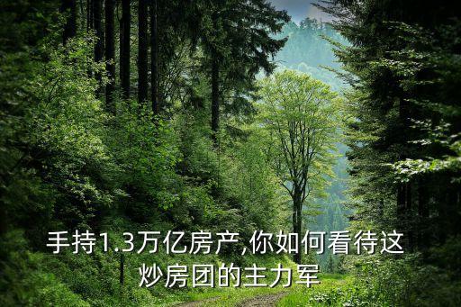 手持1.3萬億房產(chǎn),你如何看待這 炒房團的主力軍