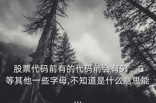  股票代碼前有的代碼前會(huì)有ST、G等其他一些字母,不知道是什么意思能...