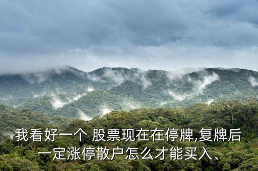 我看好一個 股票現(xiàn)在在停牌,復(fù)牌后一定漲停散戶怎么才能買入、