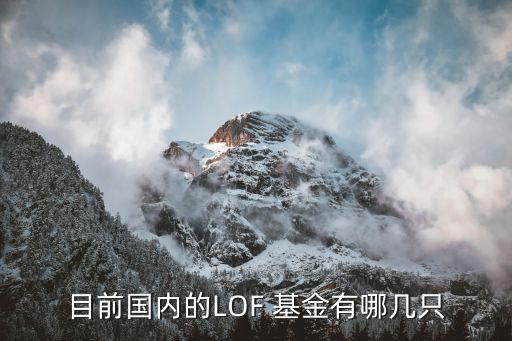 基金天治核心成長(zhǎng),天治核心基金凈值今日查詢(xún)