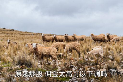 股票傭金怎么降低,傭金萬2.5和萬1.5差多少