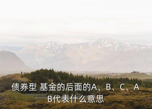 債券型 基金的后面的A、B、C、AB代表什么意思