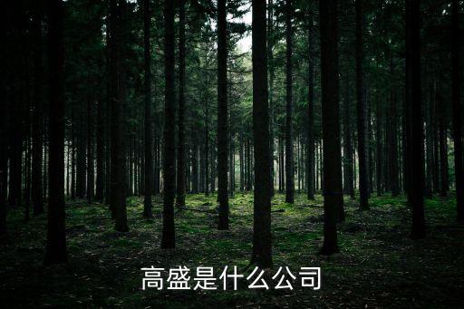高盛是什么公司