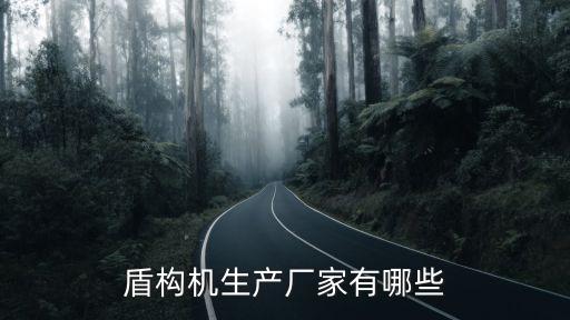 盾構(gòu)機生產(chǎn)廠家有哪些